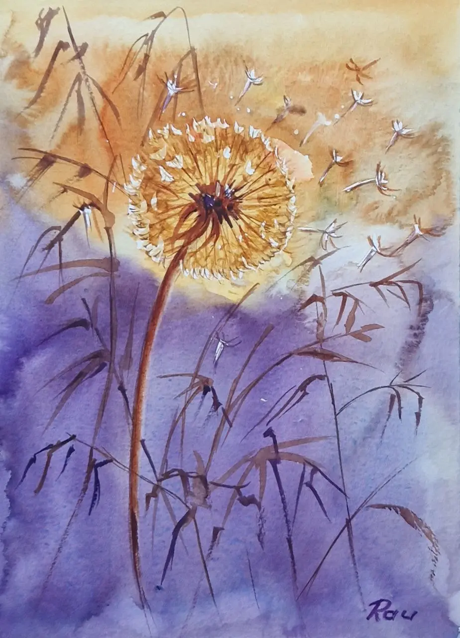 Pampeliška. akvarel. 20x30